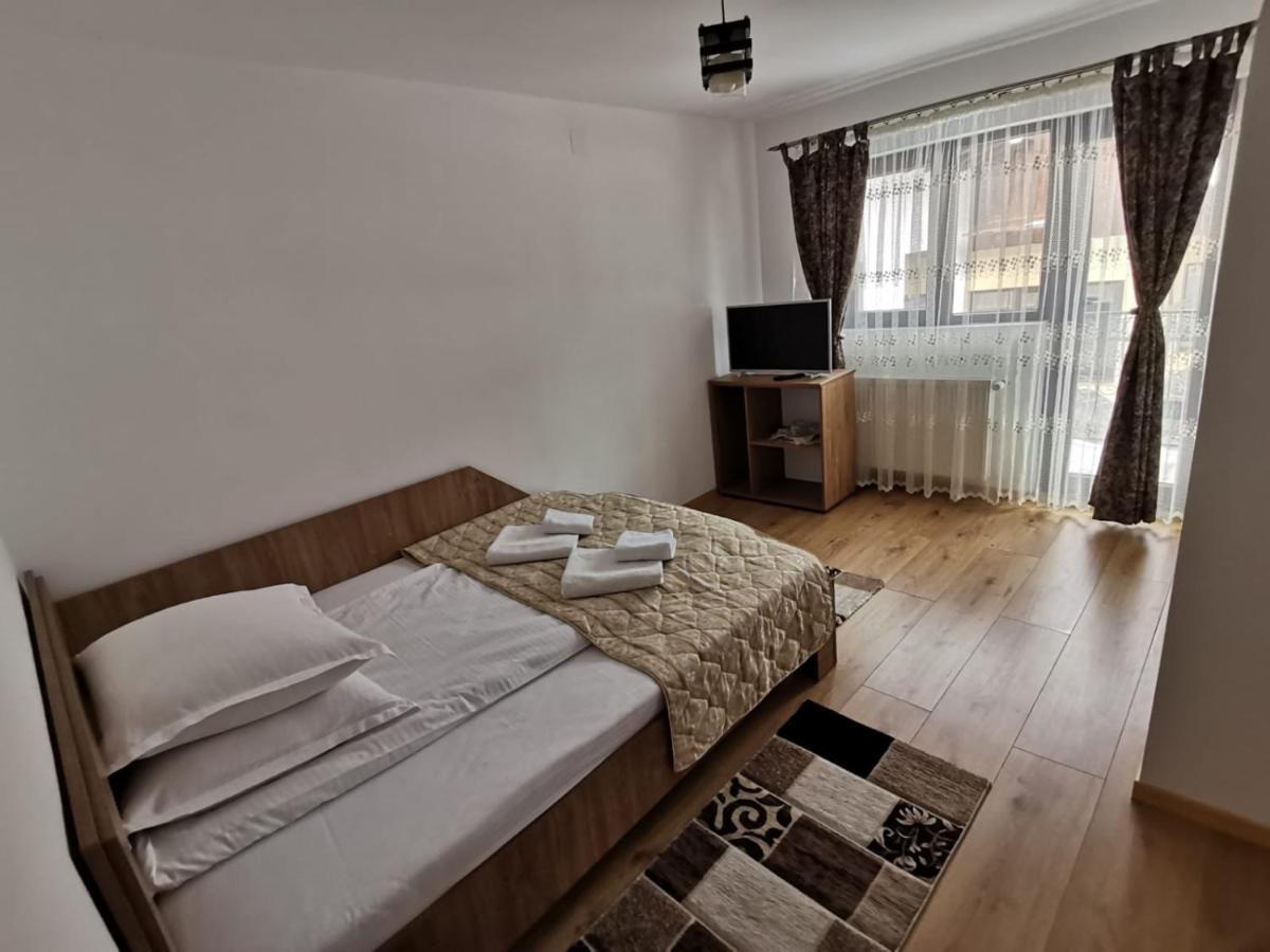 Hotel Casa Dana Olteanu à Moeciu De Sus Extérieur photo
