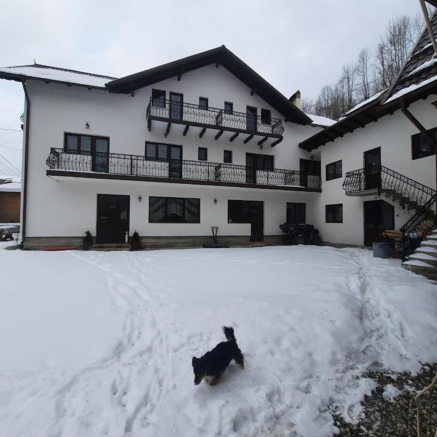 Hotel Casa Dana Olteanu à Moeciu De Sus Extérieur photo