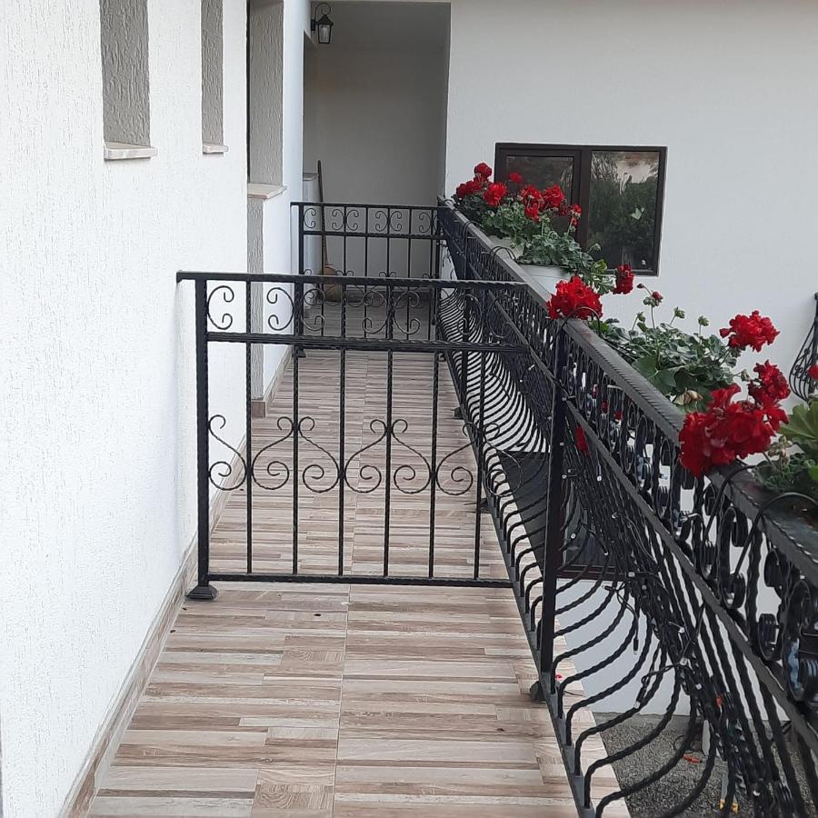 Hotel Casa Dana Olteanu à Moeciu De Sus Extérieur photo