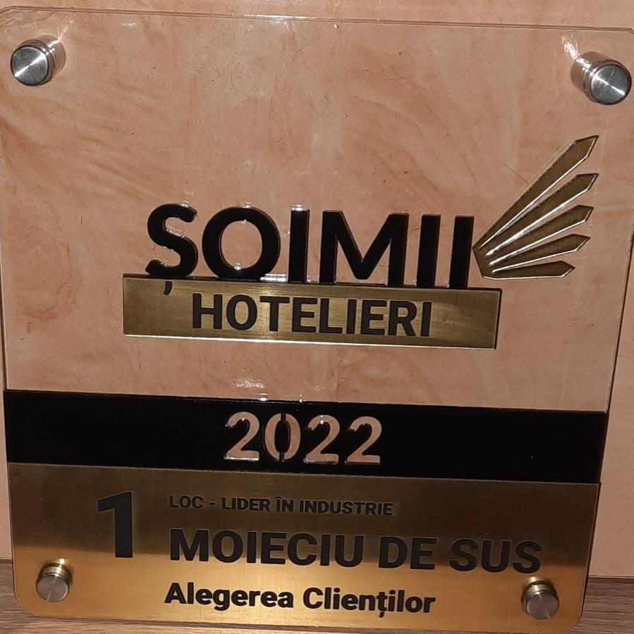 Hotel Casa Dana Olteanu à Moeciu De Sus Extérieur photo