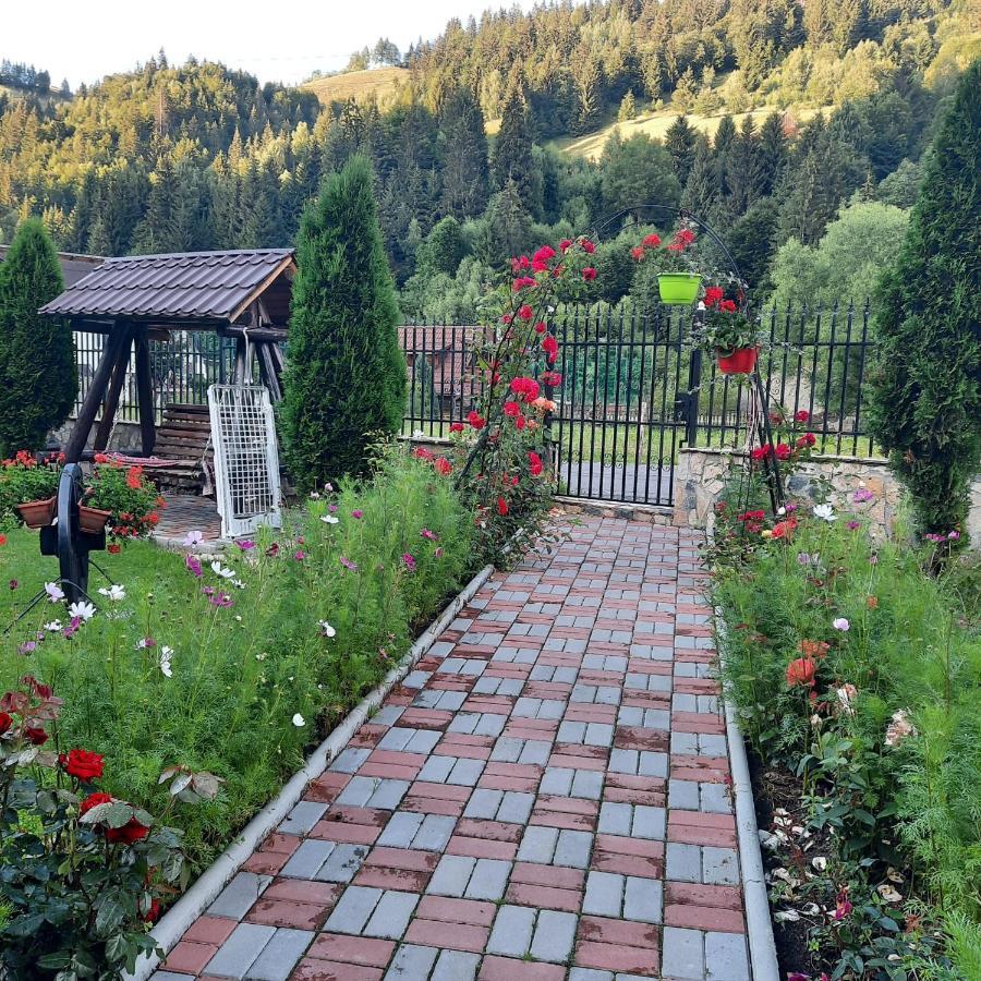 Hotel Casa Dana Olteanu à Moeciu De Sus Extérieur photo