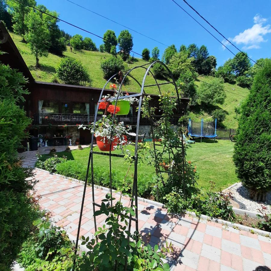 Hotel Casa Dana Olteanu à Moeciu De Sus Extérieur photo